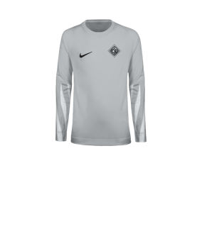 Nike Park V Torwarttrikot Langarm Kids Grau F097