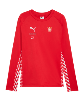PUMA teamLIGA26 Training Sweatshirt Rot F01