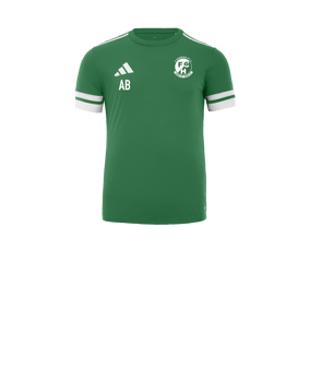 adidas Squadra 25 Trikot Kids Grün