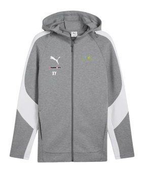 PUMA teamEVOSTRIPE Kapuzenjacke Grau F33