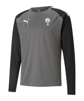 PUMA teamLIGA Trainig Sweatshirt Grau Schwarz F13