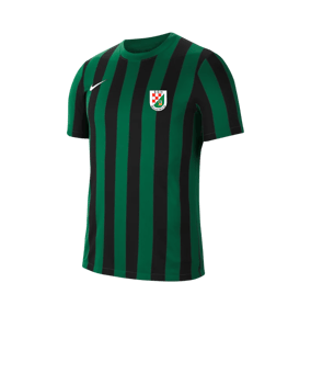 Nike Division IV Striped Trikot kurzarm Grün F302