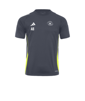 adidas Tiro 24 Trikot Grau Weiss Gelb
