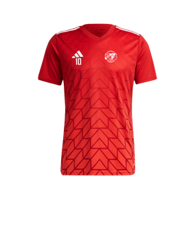 adidas Team Icon 23 Trikot Rot