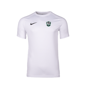 Nike Park VIII Trikot Weiß F100