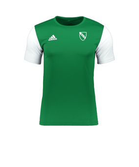 adidas Estro 19 Trikot kurzarm Grün Weiss