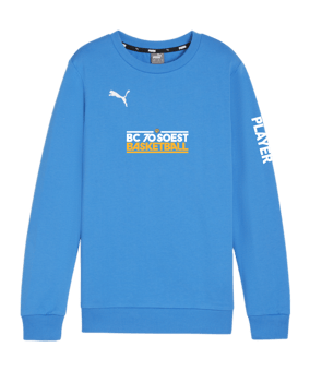 PUMA teamGOAL Casuals Sweatshirt Kids Blau F02