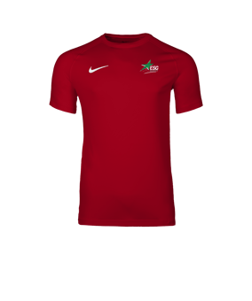 Nike Park VIII Maillot Rouge C657