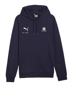 PUMA teamGOAL Casuals Hoody Blau F06