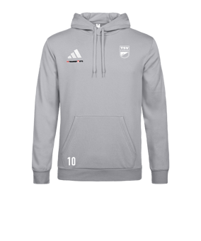 adidas Entrada 26 Hoody Grau