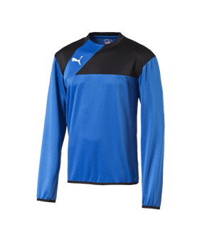 PUMA Esquadra Training Sweatshirt Kids Blau F23 - blau