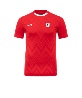 Maillot de football Nike Challenge V rouge/blanc F657
