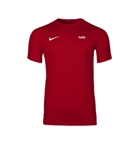 Nike Park VIII Trikot Rot F657