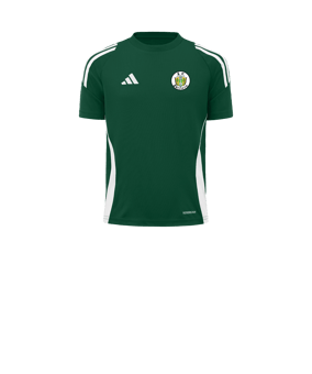 adidas Tiro 24 Trikot Kids Grün Weiss