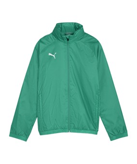 PUMA teamGOAL Allwetterjacke Kids Grün Weiss F05 - gruen