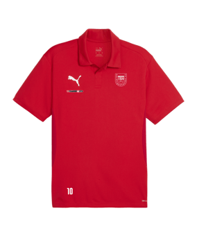 PUMA teamGOAL Poloshirt Rot F01