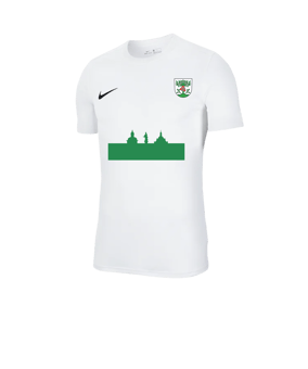 Nike Park VII Trikot kurzarm Weiss F100