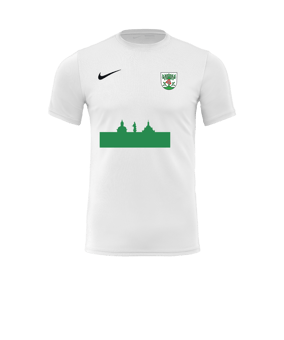 Nike Park VII Trikot kurzarm Weiss F100