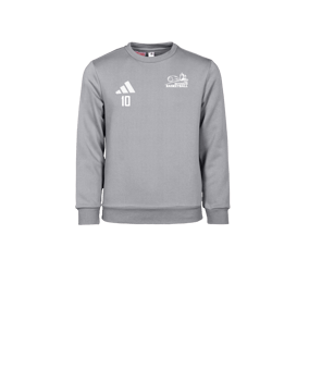 adidas Entrada 26 Sweatshirt Kids Grau