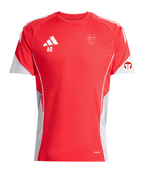 adidas Tiro 25 Competition Trikot Rot Grau