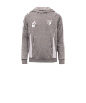 adidas Tiro 24 Hoody Kids Grau Weiss