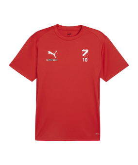 PUMA teamGOAL Trikot Rot F01