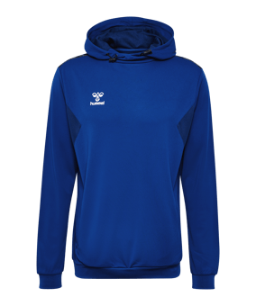 Hummel hmlAUTHENTIC PL Hoody Blau F7045 - blau