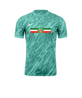 Nike Gardien V Torwarttrikot Türkis F354