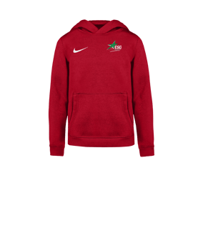 Nike Park 26 Sweatshirt à capuche Enfants Rouge C657