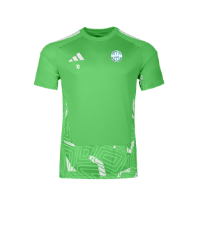 adidas Tiro 26 Maillot de gardien de but Vert 
