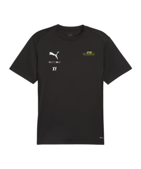 PUMA teamGOAL Trikot Schwarz F03