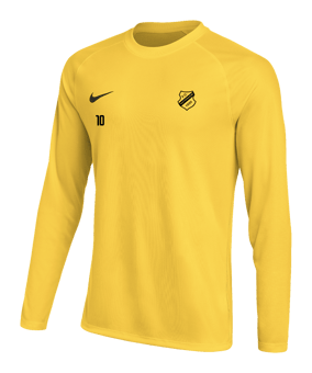 Nike Park VIII Trikot langarm Gelb F719