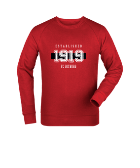 Merch Roller Sweatshirt Red | #established