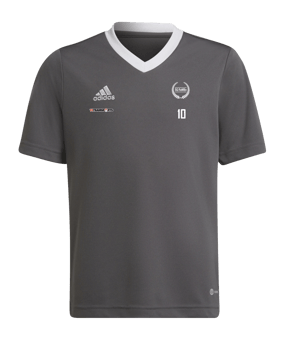 adidas Entrada 22 Trikot Kids Grau Weiss