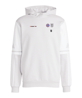 adidas Squadra 25 Hoody Grau