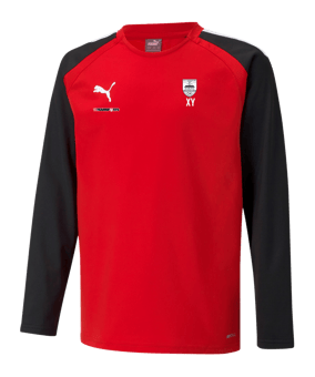 PUMA teamLIGA Sweatshirt Kids Rot F01