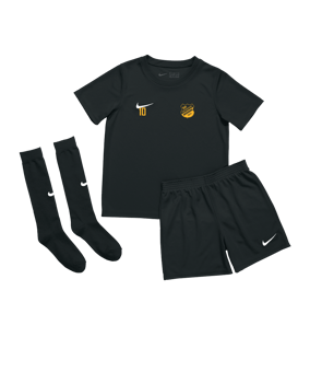 Nike Park 20 Kit Kids Schwarz F010