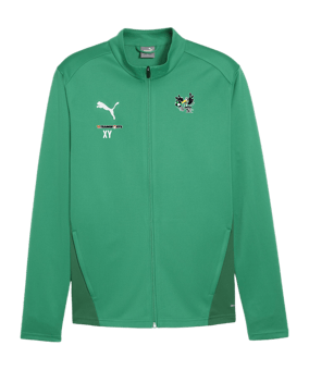 PUMA teamGOAL Trainingsjacke Grün F05