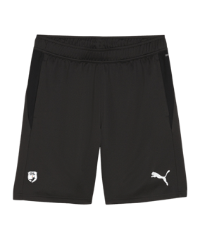 PUMA teamGOAL Training Shorts Schwarz F03