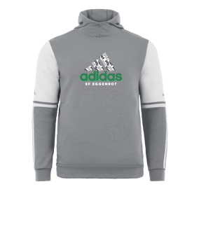  adidas SFE Big Brand Hoody Grau