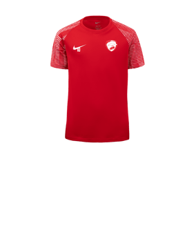Maillot Nike Academy enfants rouge blanc F657 
