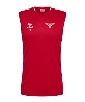 hummel Core 2.0 S/L Maillot Rouge C3946 
