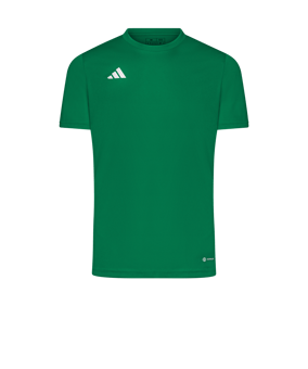 adidas Tabela 23 Trikot Grün Weiss