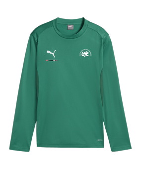 PUMA teamGOAL Training Sweatshirt Kids Grün F05
