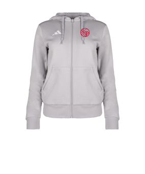 adidas Entrada 26 Kapuzenjacke Damen Grau