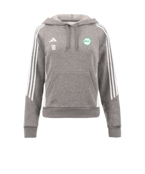 Sweat à capuche adidas Tiro 24 femmes gris blanc 