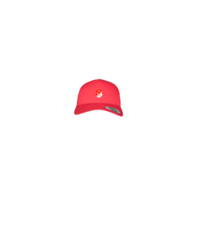 Merch 5 Panel Retro Trucker Cap Red | #logo4c