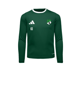 adidas Entrada 26 Trikot Langarm Kids Grün