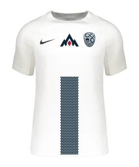 Maillot De Foot Slovénie Domicile 2014/2016 - Taille M - Nike, Porté En Match - Occasion