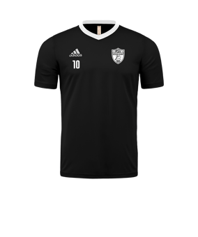 adidas Entrada 22 Trikot Schwarz Weiss